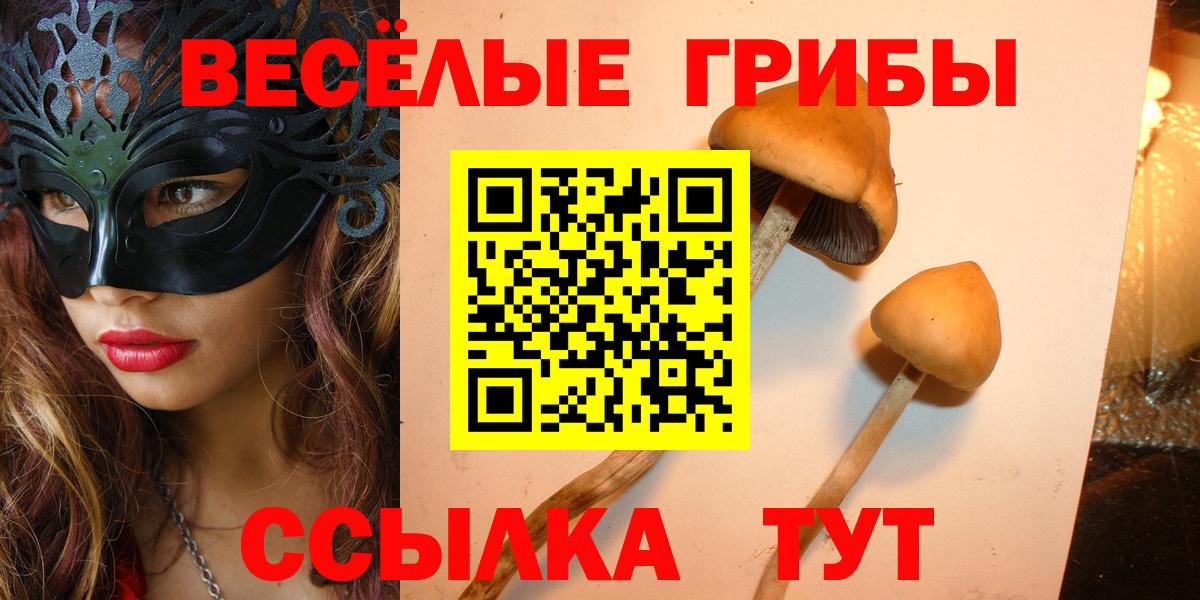 Галлюциногенные грибы мухоморы  Вход с VPN  Асино 