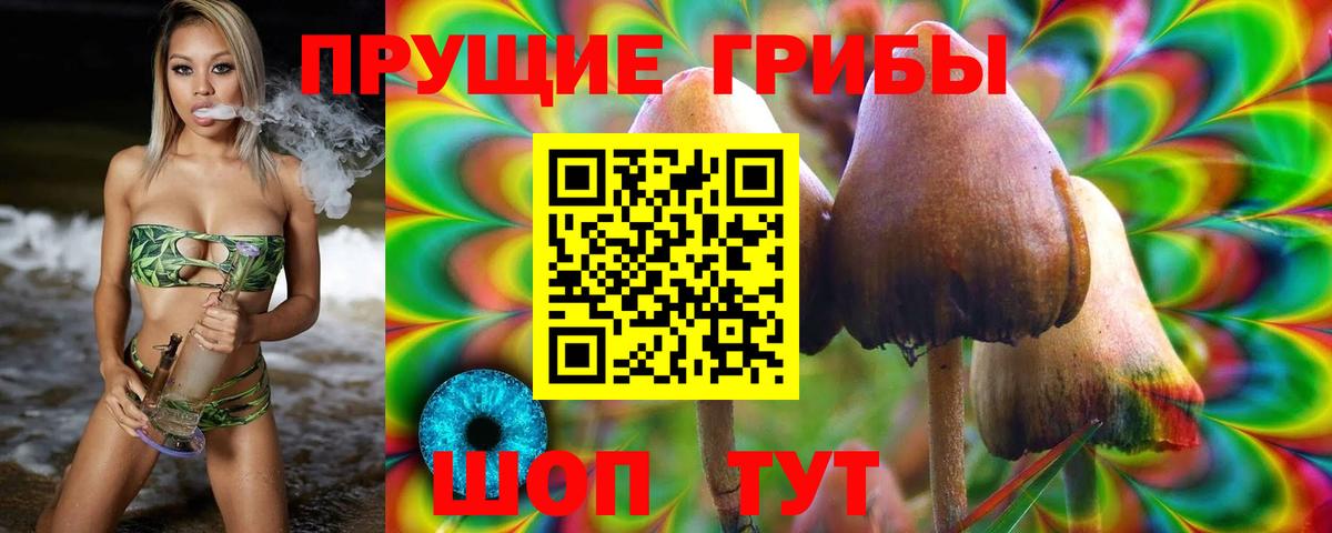 Галлюциногенные грибы Cubensis Асино